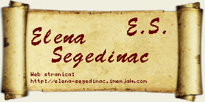 Elena Segedinac vizit kartica